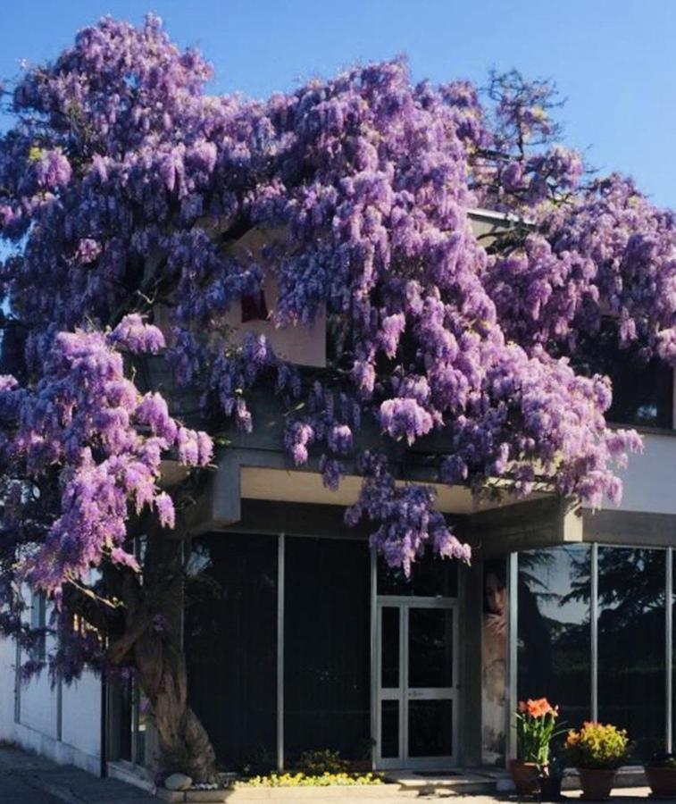 Garden Of Venice Otel Pegolotte Dış mekan fotoğraf